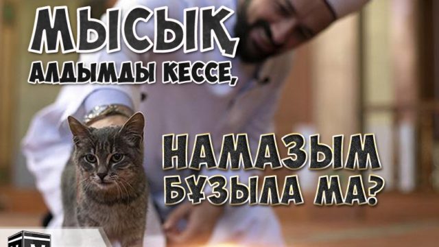 МЫСЫҚ АЛДЫМДЫ КЕССЕ, НАМАЗЫМ БҰЗЫЛА МА?