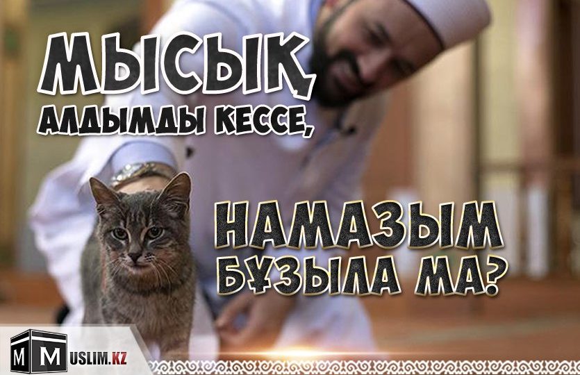 МЫСЫҚ АЛДЫМДЫ КЕССЕ, НАМАЗЫМ БҰЗЫЛА МА?